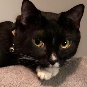 Meet your Posher, Angie